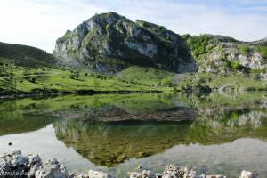 1524705_765287346912170_3563704416870871412_n